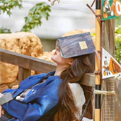 湾区儿女